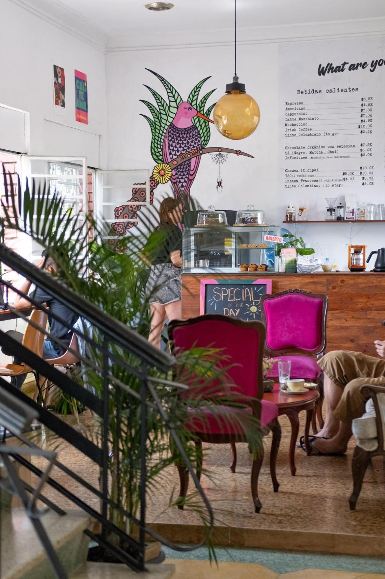 La Palmera Hostel Cali Exteriér fotografie